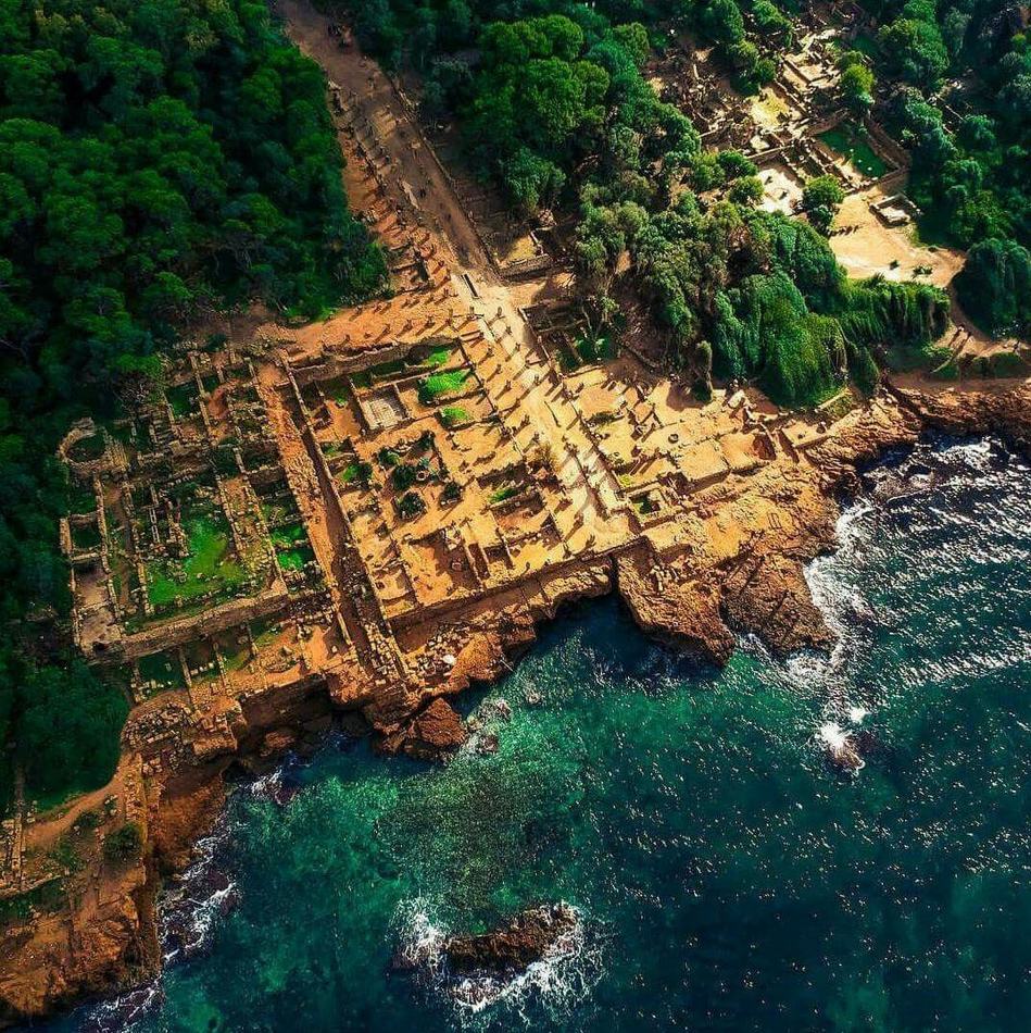 Tipaza